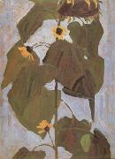 Sunflower I(mk12), Egon Schiele